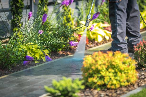Best Driveway Pressure Washing  in Wetumka, OK